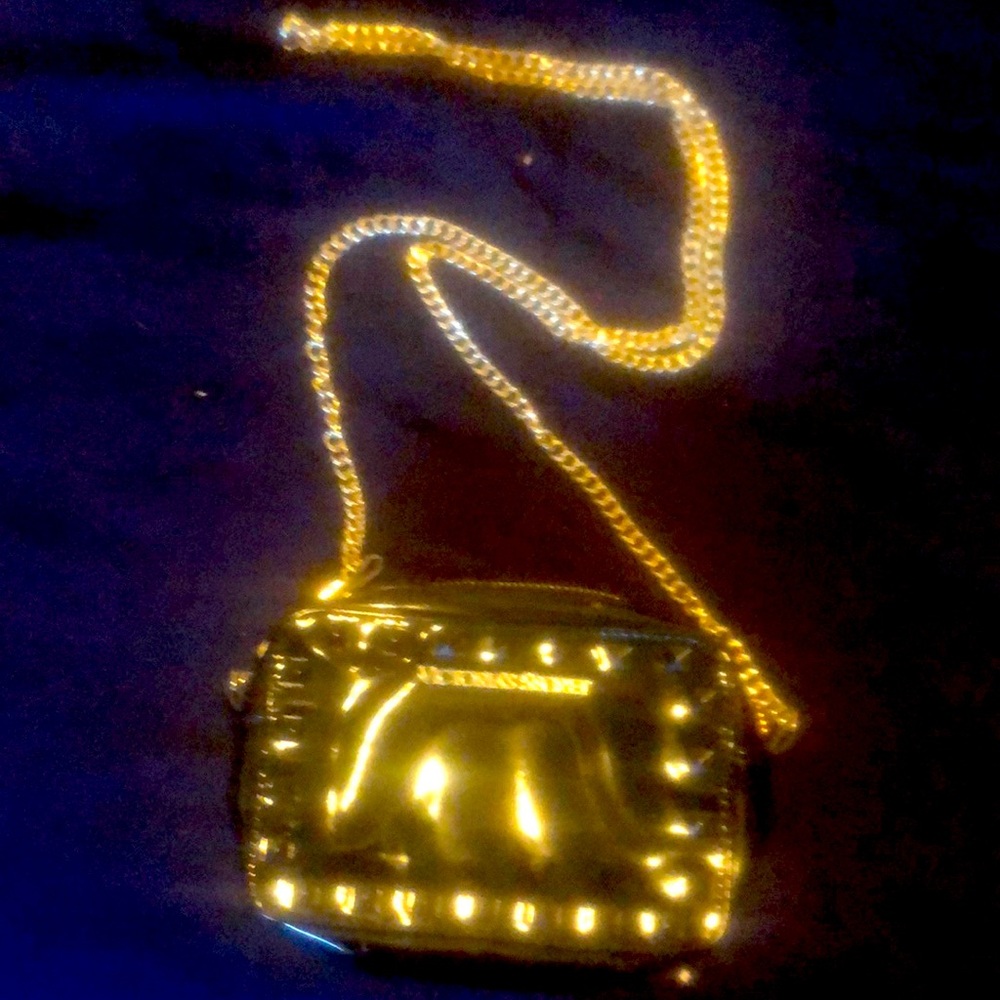 Victoria’s Secret cocktail purse